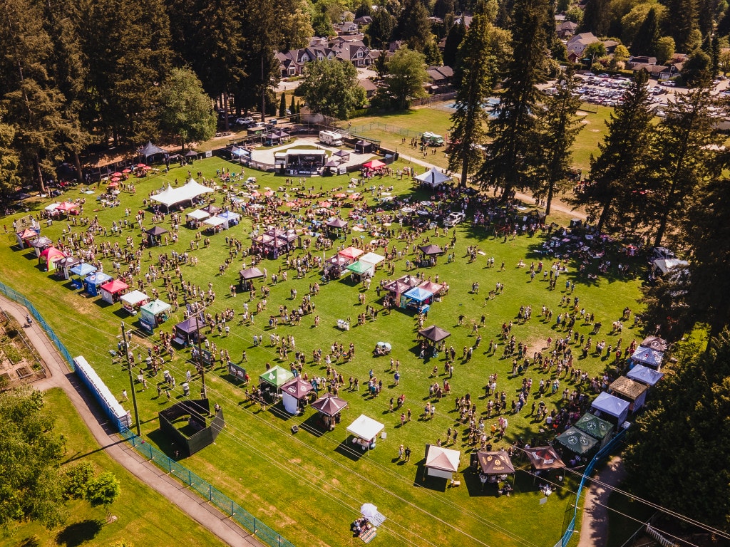 Cheers! 2026 Summer Beer Festivals